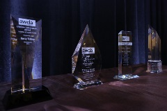 awda award trophies awda award trophies
