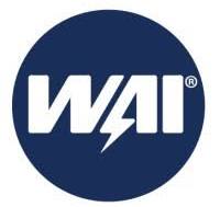 WAI Logo