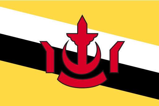 Brunei flag