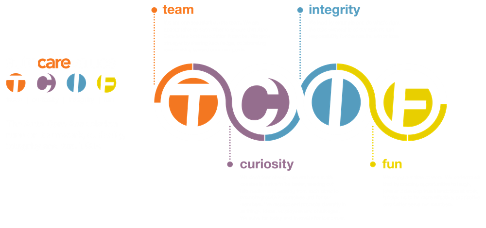 Auto Care Values